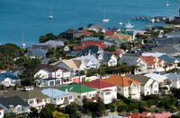 Wellington City Sightseeing Small-Group Tour