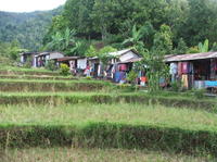 Singaraja and Bedugul North Coast Bali Mountain Tour