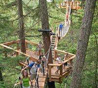 Treetop Canopy Walk in Whistler