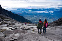 Kinabalu Park Canopy Walkway and Poring Hot Springs Full-Day Tour from Kota Kinabalu