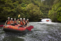 Rangitaiki River White Water Rafting from Rotorua