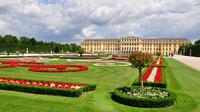 Schönbrunn Palace Evening: Palace Tour, Dinner and Concert