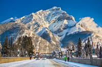 Winter Tour: Banff and its Wildlife