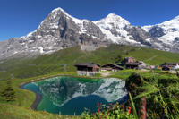Excursión a los Alpes suizos desde Lucerna: Jungfraujoch y Oberland