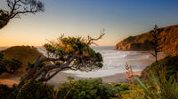 Full-Day Photography Tour into Auckland\'s Wild West