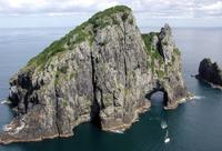 Cape Brett \'Hole in the Rock\' Cruise departs Auckland