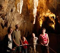 Waitomo Glowworm Caves Discovery Tour from Auckland