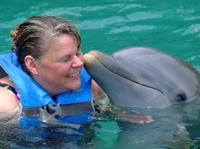 Riviera Maya Small-Group Wildlife Adventure: Manatees and Dolphins