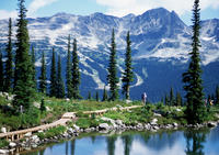 Whistler Mountains and Adventures Tour Including Admission to Scandinave Spa