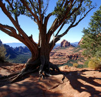 Old Bear Wallow Tour from Sedona