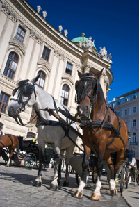 Vienna City Walking Tour