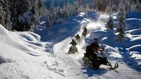 Snowmobile Experience in the Alps