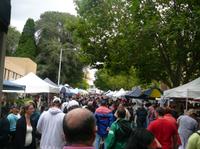 Hobart Half-Day Sightseeing Coach Tram Tour