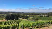 Small Group Adelaide Hills Divine Wine Day Trip from Adelaide