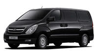 Arrival Private Transfer: Guayaquil Airport (GYE) to Guayaquil City in a Minivan Private Car Transfers