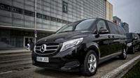 Arrival Private Transfer Madrid Airport MAD to Madrid City by Luxury Van Private Car Transfers
