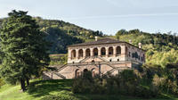 Villa dei Vescovi Entrance Ticket