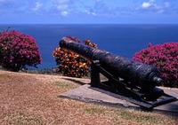 Tobago Island Sightseeing and Plantation Tour