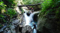 Las 27 cascadas de Damajagua: la mejor excursión en tierra