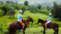 Excursión por la costa: Glide N' Ride tirolinas y paseo a caballo 