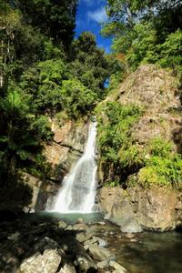 El Yunque Rainforest Hiking from San Juan