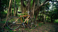 Green Bangkok Discovery Bike Tour