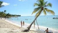 Día de playa en isla Saona desde Bayahibe