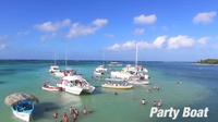 La mejor fiesta en el mar Caribe en un barco para 15 personas
