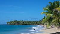 Visita Playa Limón: el mejor día lleno de aventuras desde Punta Cana