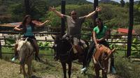 Excursión a Amber Cove: viaje a caballo y excursión por el Jardín Tropical