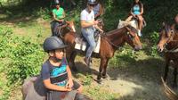Excursión Amber Cove: la mejor cabalgata en Rancho Los Cacaos