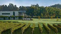 Private Tour: Half-Day Best Wineries of Auckland Tour
