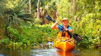 Wekiva River Kayak Tour