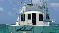 Barco de pesca privada en Punta Cana: tendrá el mejor material