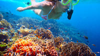 St Kitts Shore Excursion: Private Snorkeling Tour