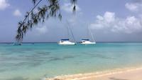 5 hour small group catamaran cruise from bridgetown with lunch