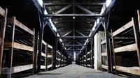 Auschwitz-Birkenau y la mina de sal de Wieliczka desde Cracovia