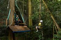 St Lucia Shore Excursion: Rainforest Aerial Tram, Zipline and Hiking