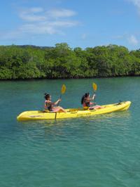 St Thomas Shore Excursion: Mangrove Lagoon Kayak and Snorkel Tour 2018