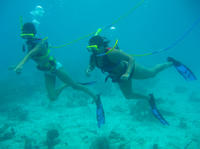 St Thomas Shore Excursion: Snuba Adventure at Coral World Ocean Park