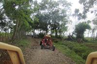 Día completo en buggy por las dunas de la bahía de Punta Cana hasta la bahía de Laguna Limón