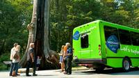 Summer Tour: Whistler and Shannon Falls All-Day Tour from Vancouver