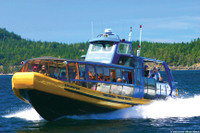 Whale-Watching Tour from Vancouver
While in Vancouver, don't miss the chance to take a whale-watching tour and spot killer whales, porpoises, seals, eagles and other wildlife amid the stunning scenery of Canada’s southwest coast. Join your professional naturalist and board a first class, modern vessel for a 3- to 5-hour expedition, starting in the picturesque, historic fishing village of Steveston and traveling through the spectacular Gulf Islands and San Juan Islands.The area is renowned for attracting whales, and this tour enjoys a 90% sighting success rate. On your quest to find orcas (killer whales), you’ll have the opportunity to see the inhabitants of this diverse marine ecosystem, including bow riding Dall’s porpoises, sea lions, bald eagles and seals. Select the shuttle option to include round-trip transportation from downtown Vancouver, and spend a morning or afternoon in touch with nature on this memorable whale-watching tour!Killer whales (also known as orcas) migrate to coastal British Columbia between May and October to feed on the salmon that return to the Fraser River to spawn. There are three pods (families) of approximately 80 killer whales that return to the area every year, meaning sightings are almost guaranteed.The vessels used on this whale-watching tour are open-air or covered high-speed zodiac boats that ensure a smooth and comfortable trip whatever the weather! On your thrilling expedition, you will hear illuminating commentary delivered by professional naturalists, and you’ll see the magnificent orca in its natural habitat. Onboard hydrophones allow you to experience the wild calls of the orcas first hand, and photo ID charts will even help you to identify them. Look out for the orca named Granny, believed to be over 100 years old!Air-conditioned shuttle transportation is available from nine centrally located pickup points in downtown Vancouver, and free parking is available in Steveston Village for those arriving by car.Don’t miss this extraordinary rendezvous with nature on the southwest coast of Canada!GUARANTEED WHALE SIGHTINGS OR YOUR NEXT TRIP IS FREE! Whale-Watching Tour from Vancouver