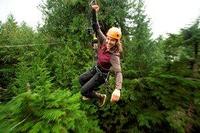 Ketchikan Shore Excursion: Rainforest Canopy Ropes and Zipline Park