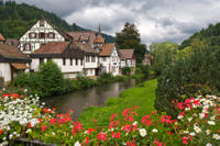 Black Forest and Strasbourg Day Trip from Frankfurt