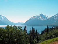 Skagway Shore Excursion: Half-Day Tour to the Yukon Border