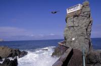 Mazatlan Shore Excursion: City Tour and Cliff Diving Show