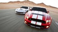 American Muscle Car Driving Experience
