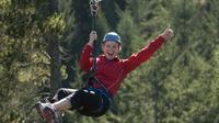 Small-Group Zipline Adventure