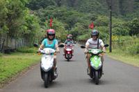 Oahu Shore Excursion: Independent Scooter Adventure